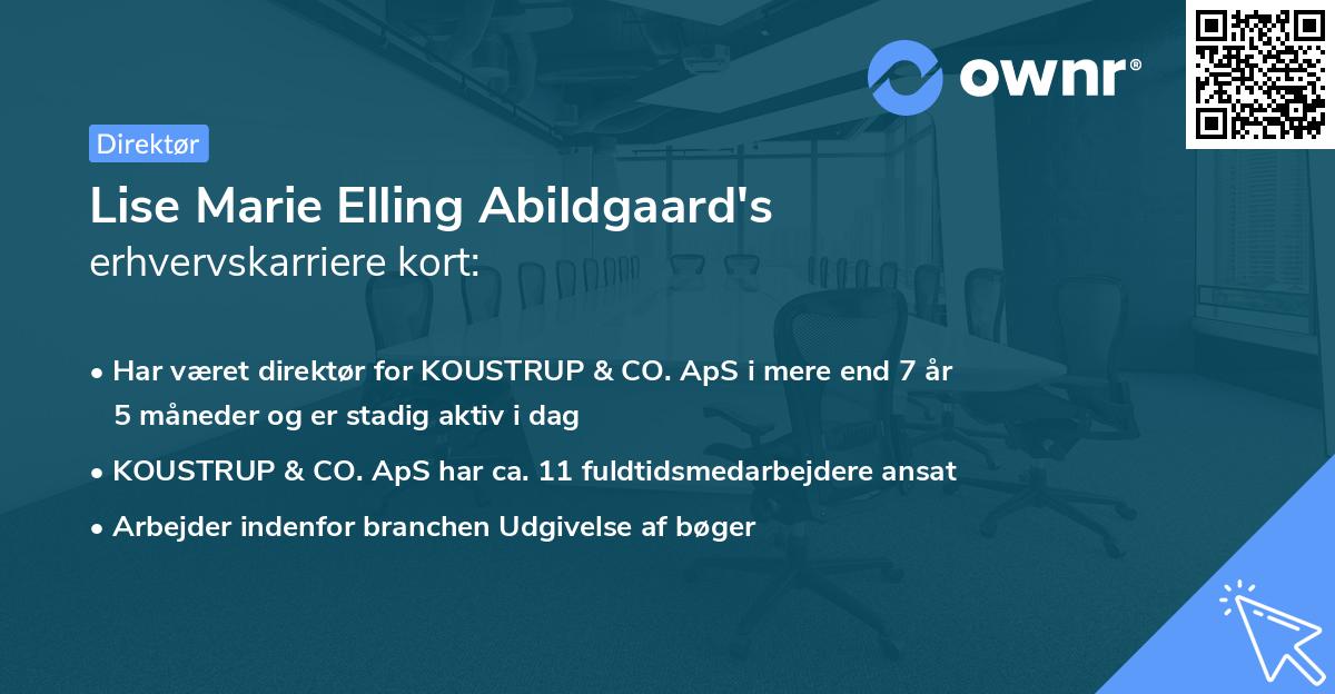 Lise Marie Elling Abildgaard's erhvervskarriere kort