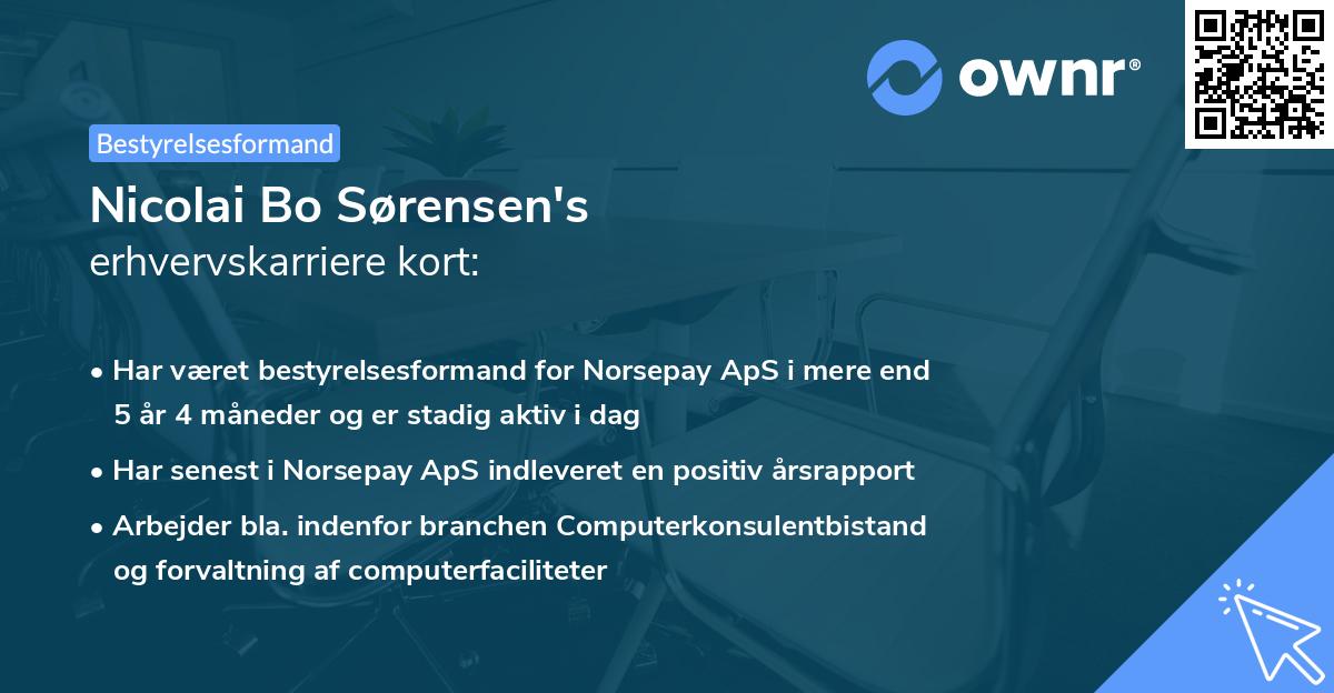 Nicolai Bo Sørensen's erhvervskarriere kort