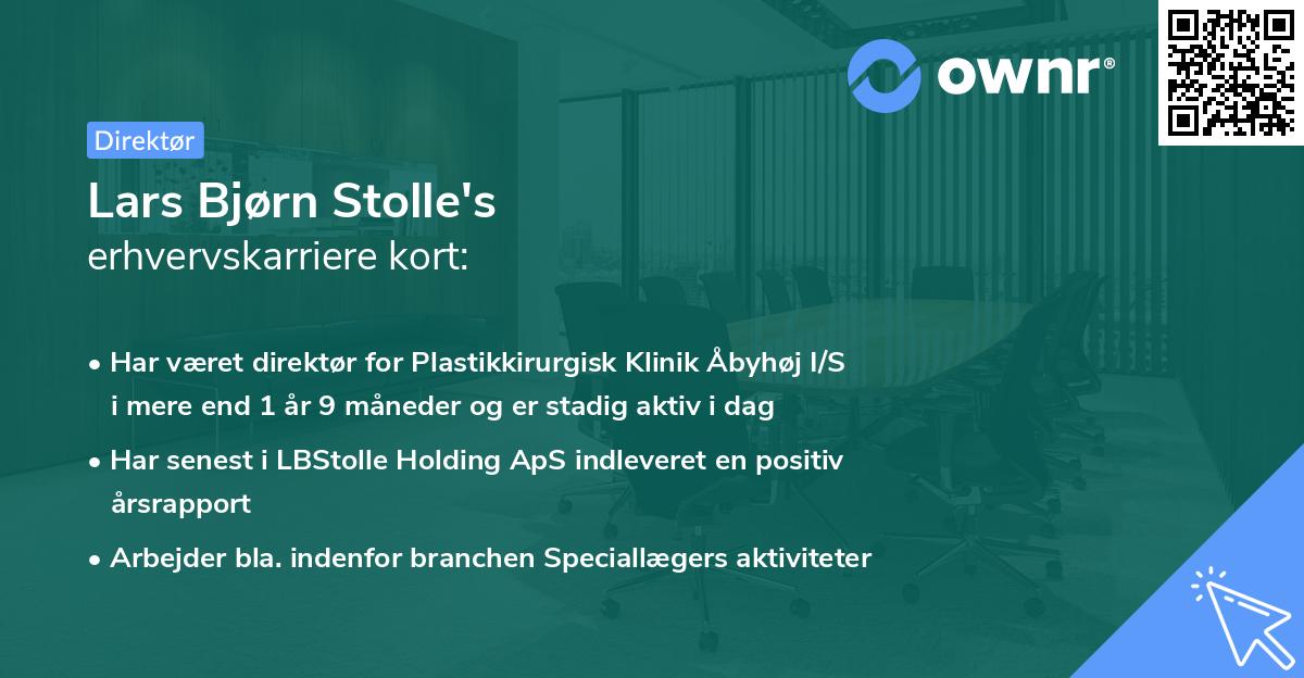 Lars Bjørn Stolle's erhvervskarriere kort