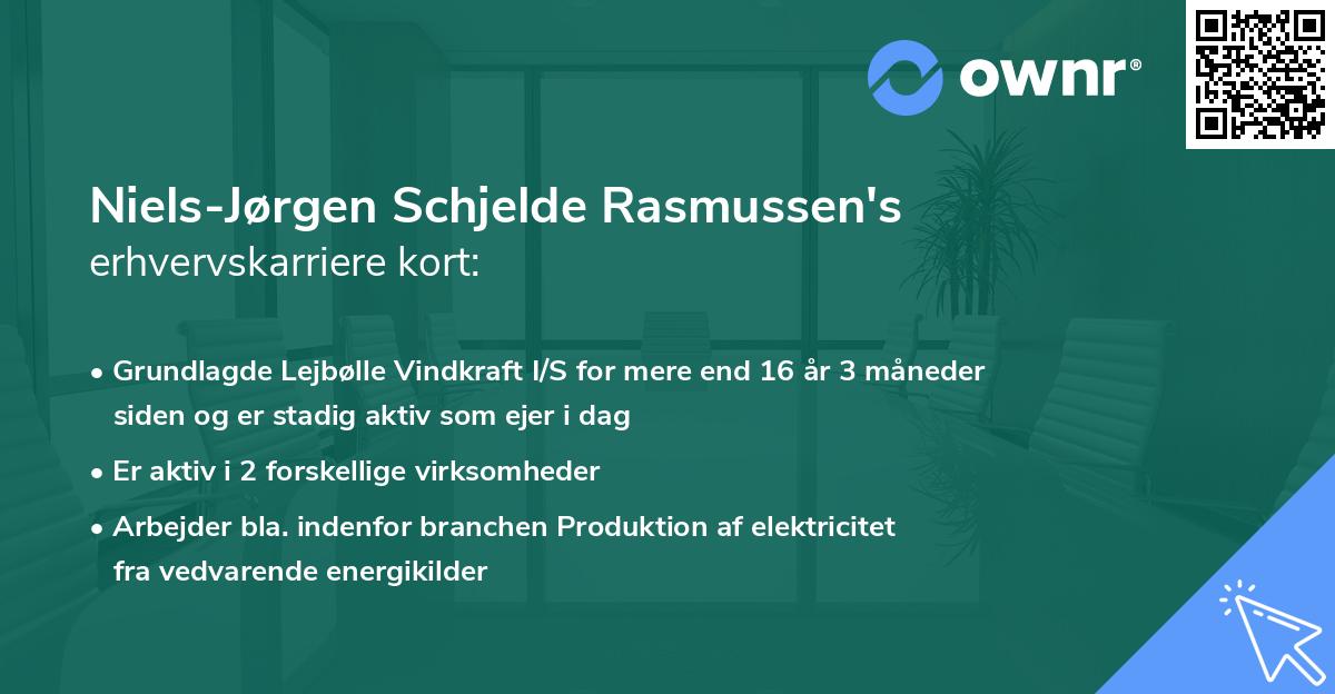 Niels-Jørgen Schjelde Rasmussen's erhvervskarriere kort