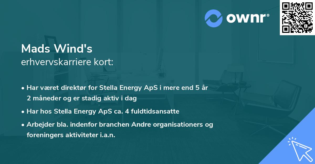 Mads Wind's erhvervskarriere kort