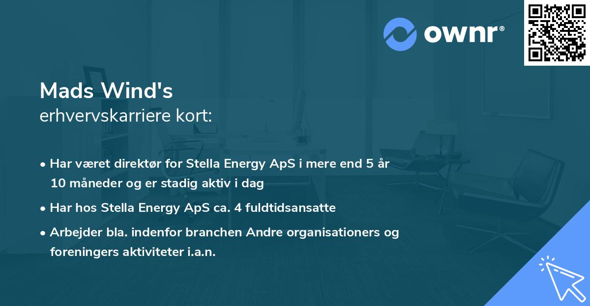 Mads Wind's erhvervskarriere kort