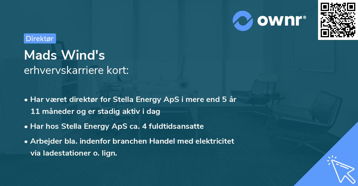 Mads Wind's erhvervskarriere kort