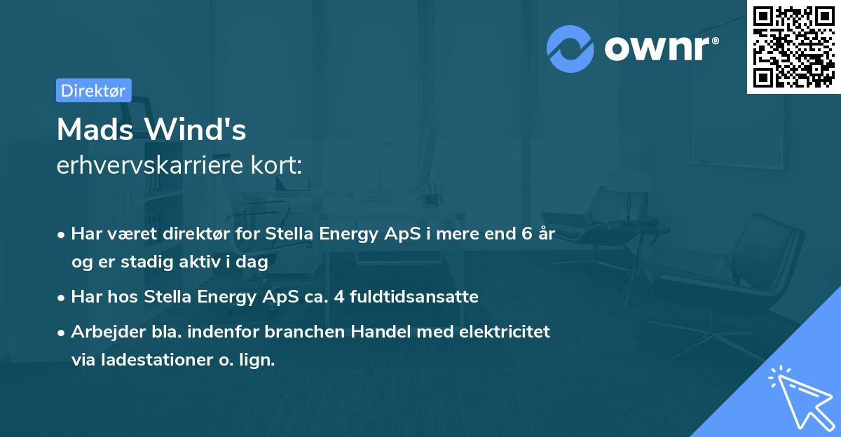 Mads Wind's erhvervskarriere kort