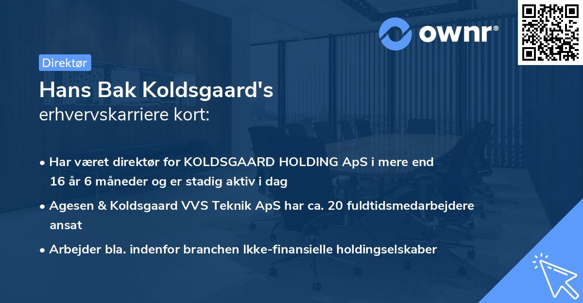 Hans Bak Koldsgaard's erhvervskarriere kort