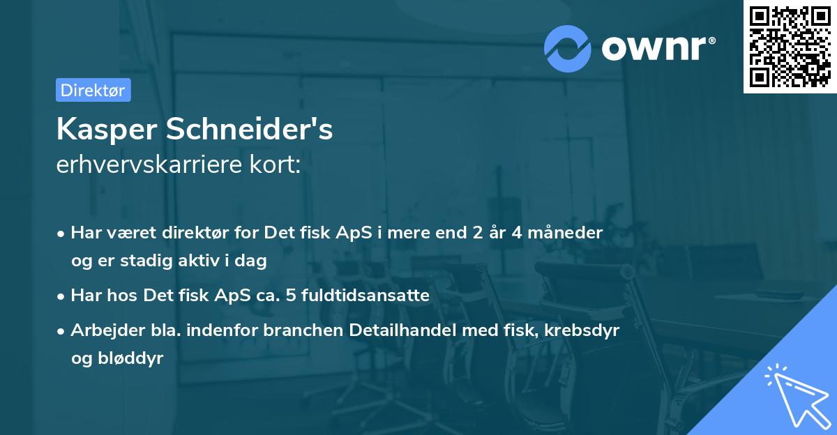 Kasper Schneider's erhvervskarriere kort