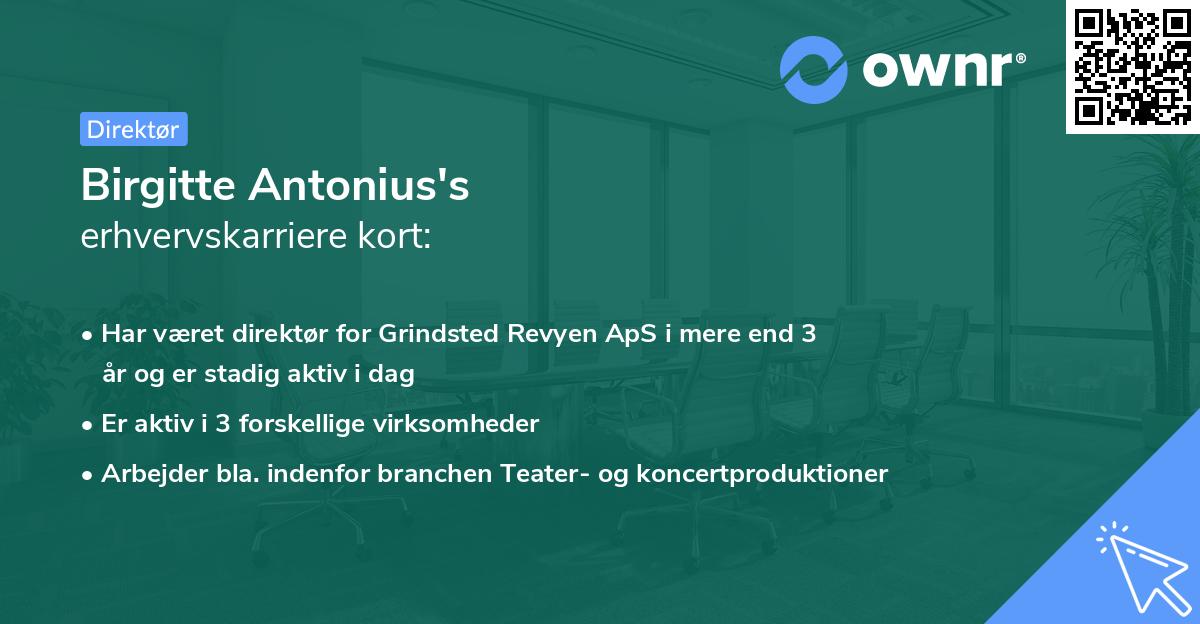 Birgitte Antonius's erhvervskarriere kort