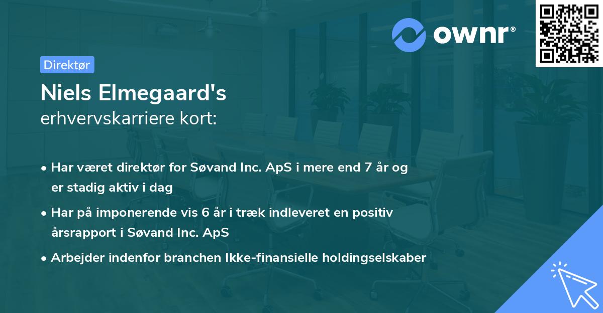 Niels Elmegaard's erhvervskarriere kort