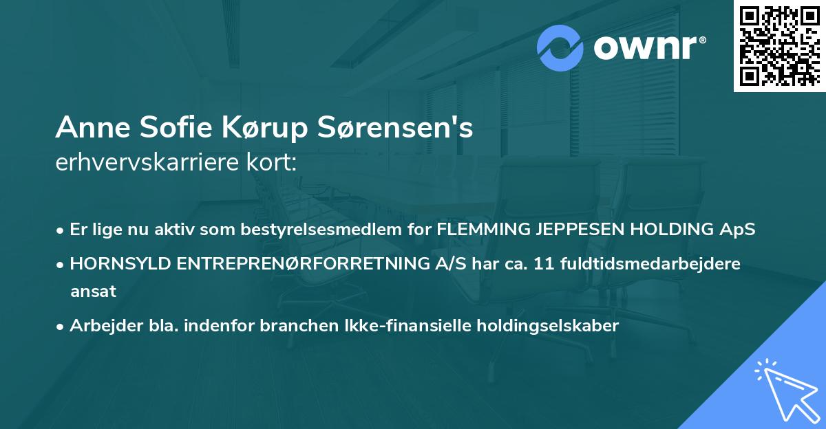 Anne Sofie Kørup Sørensen's erhvervskarriere kort