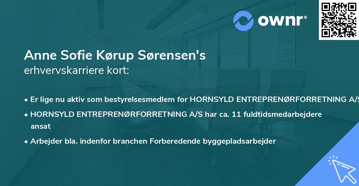 Anne Sofie Kørup Sørensen's erhvervskarriere kort