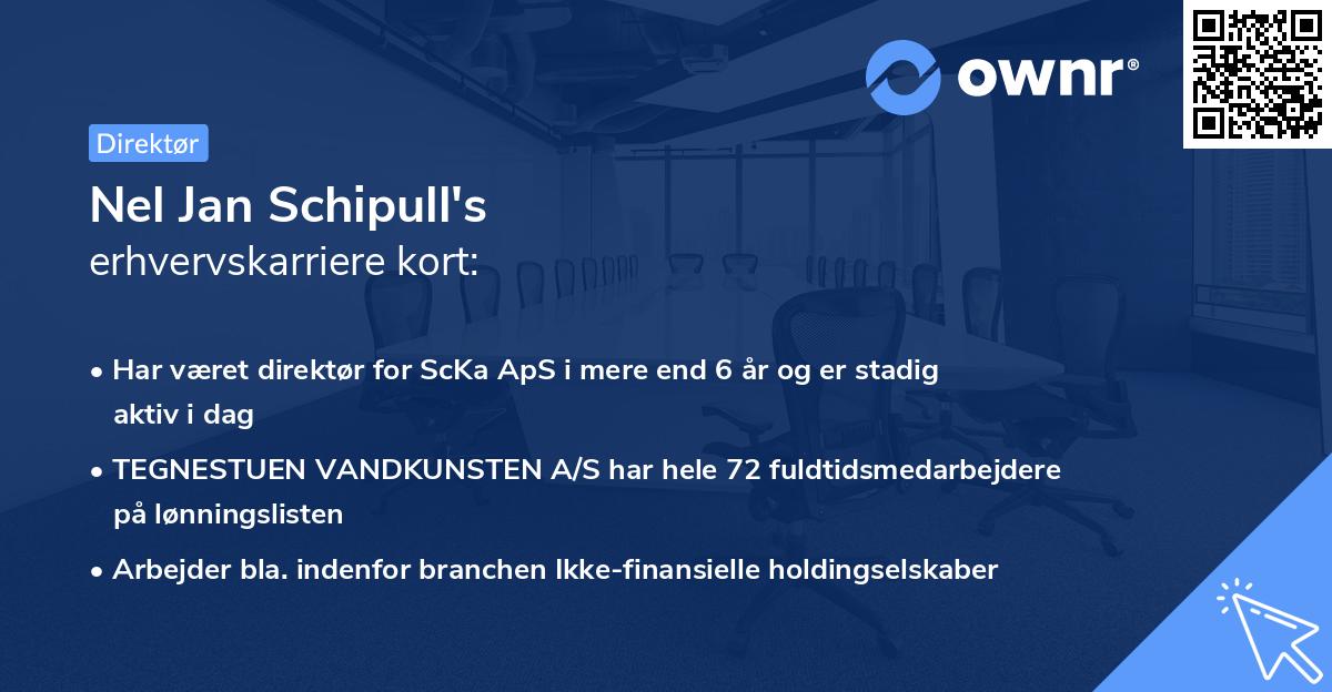 Nel Jan Schipull's erhvervskarriere kort