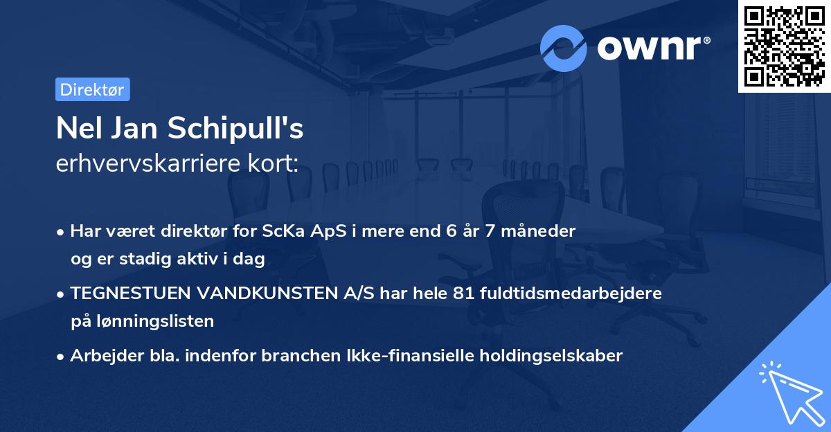 Nel Jan Schipull's erhvervskarriere kort