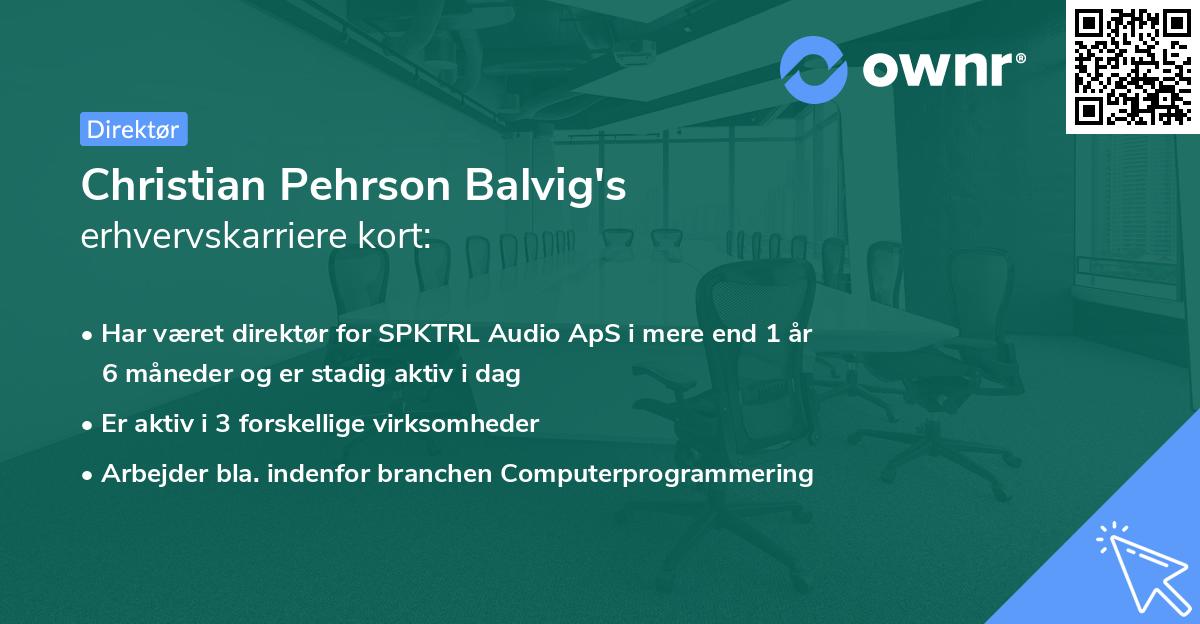 Christian Pehrson Balvig's erhvervskarriere kort