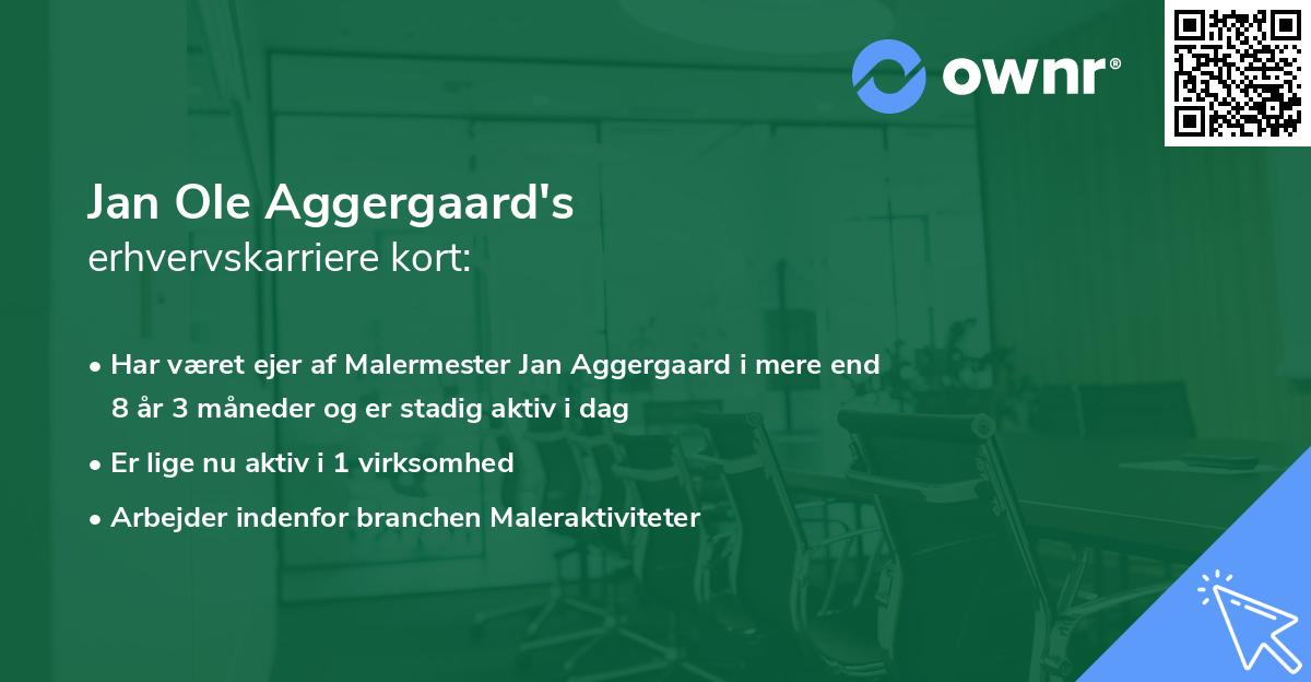 Jan Ole Aggergaard's erhvervskarriere kort