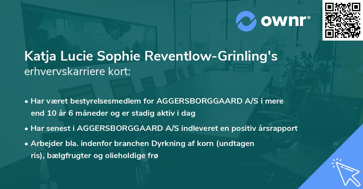 Katja Lucie Sophie Reventlow-Grinling's erhvervskarriere kort