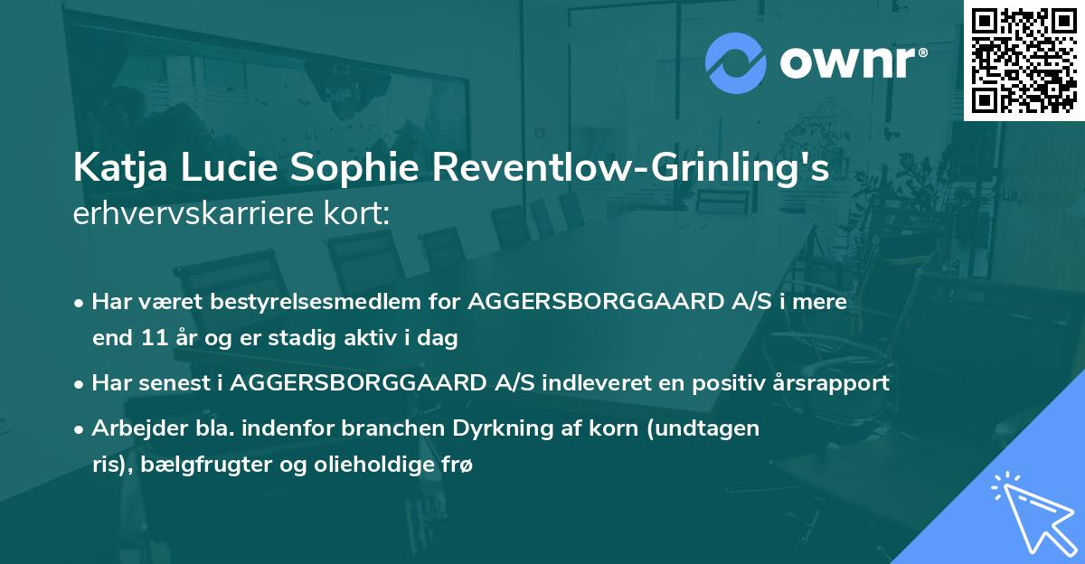 Katja Lucie Sophie Reventlow-Grinling's erhvervskarriere kort
