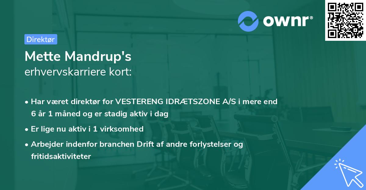 Mette Mandrup's erhvervskarriere kort