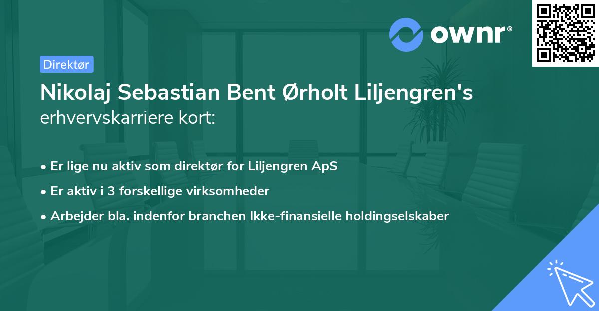 Nikolaj Sebastian Bent Ørholt Liljengren's erhvervskarriere kort