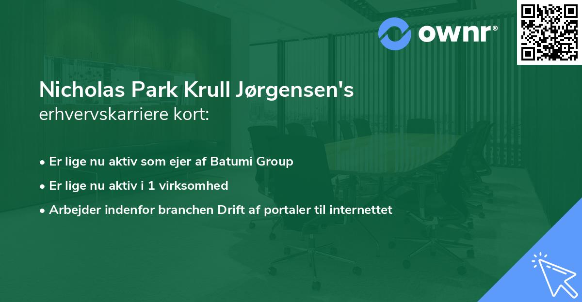 Nicholas Park Krull Jørgensen's erhvervskarriere kort