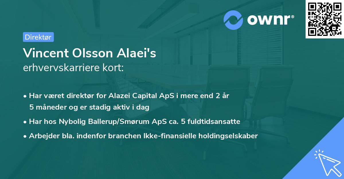 Vincent Olsson Alaei's erhvervskarriere kort