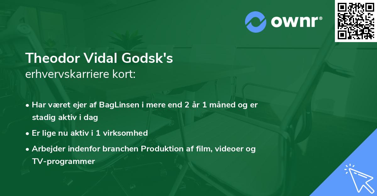 Theodor Vidal Godsk's erhvervskarriere kort