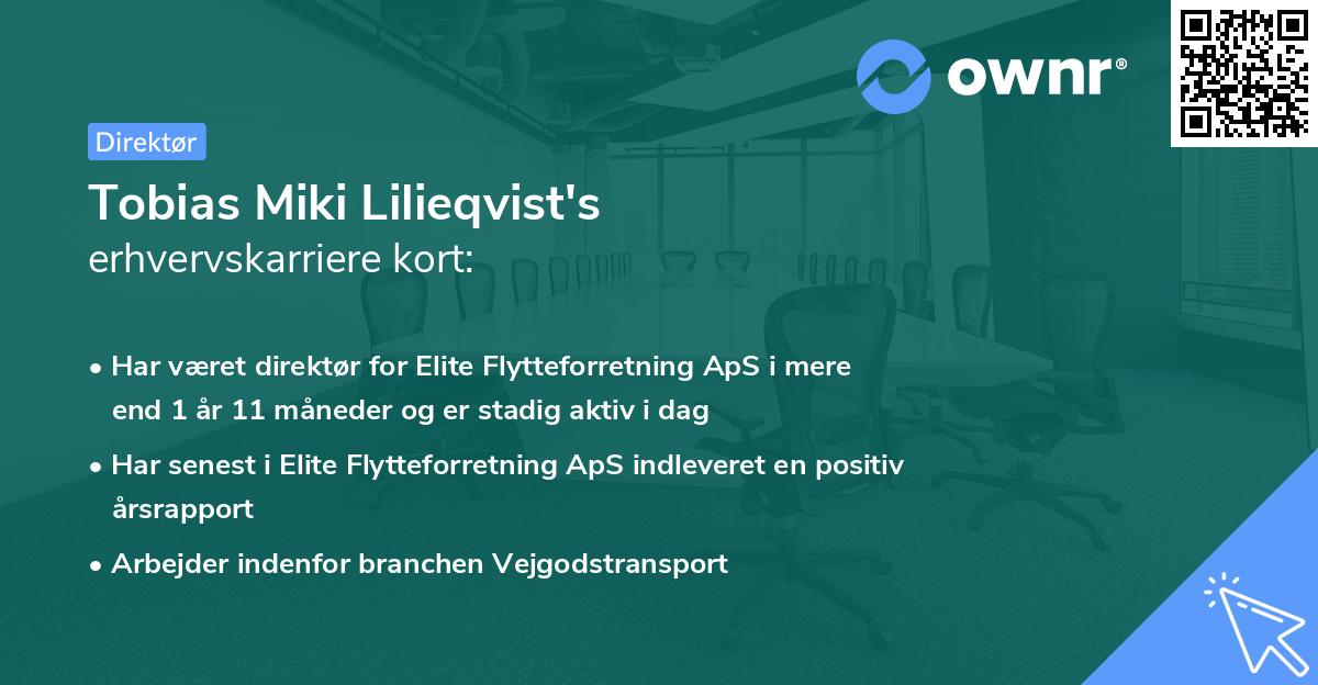 Tobias Miki Lilieqvist's erhvervskarriere kort