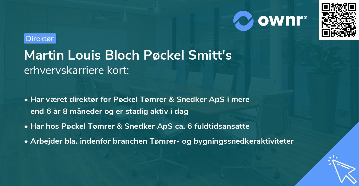 Martin Louis Bloch Pøckel Smitt's erhvervskarriere kort