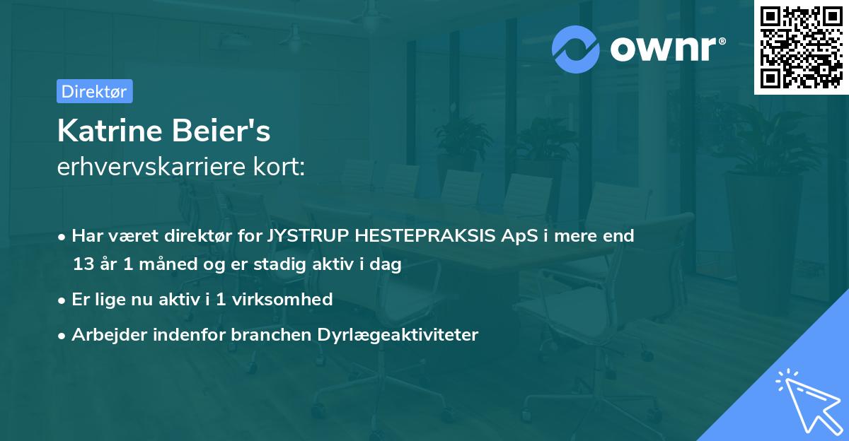 Katrine Beier's erhvervskarriere kort