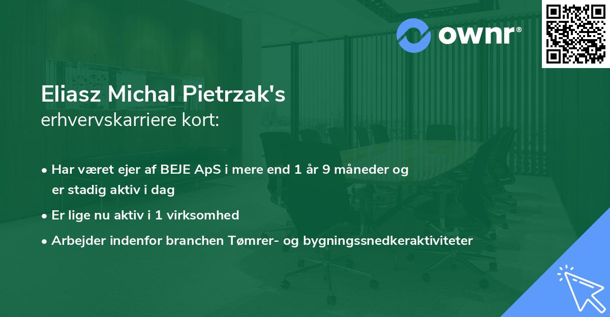 Eliasz Michal Pietrzak's erhvervskarriere kort