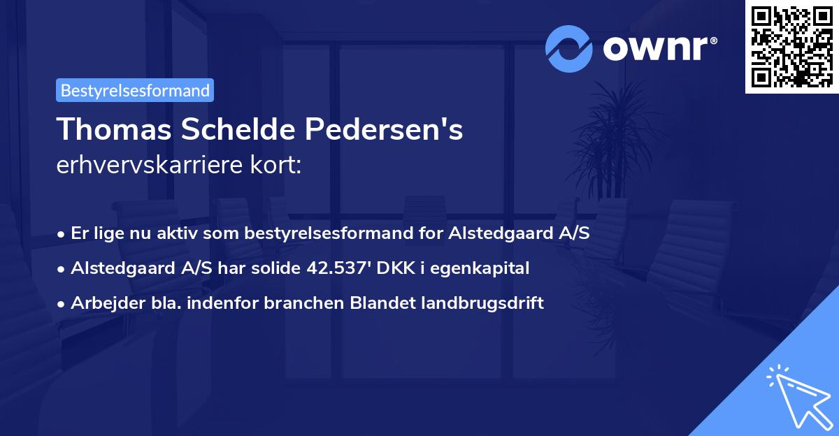 Thomas Schelde Pedersen's erhvervskarriere kort