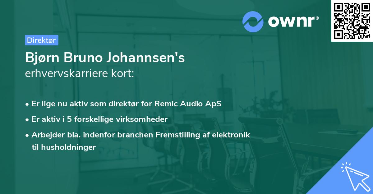 Bjørn Bruno Johannsen's erhvervskarriere kort