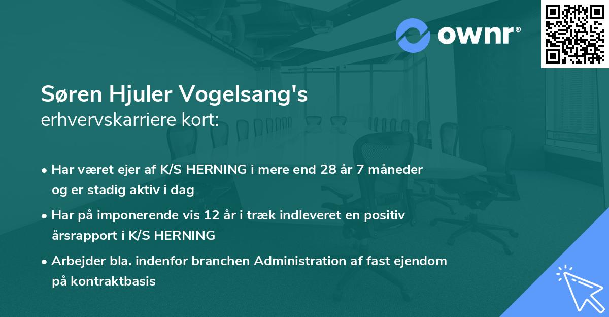 Søren Hjuler Vogelsang's erhvervskarriere kort