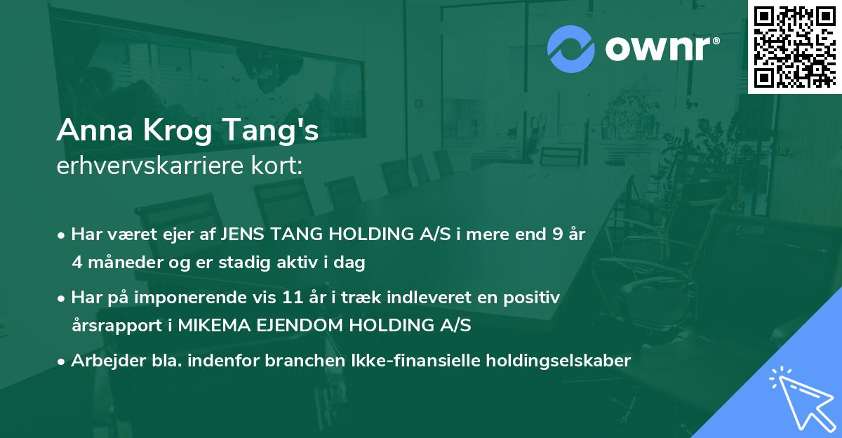 Anna Krog Tang's erhvervskarriere kort