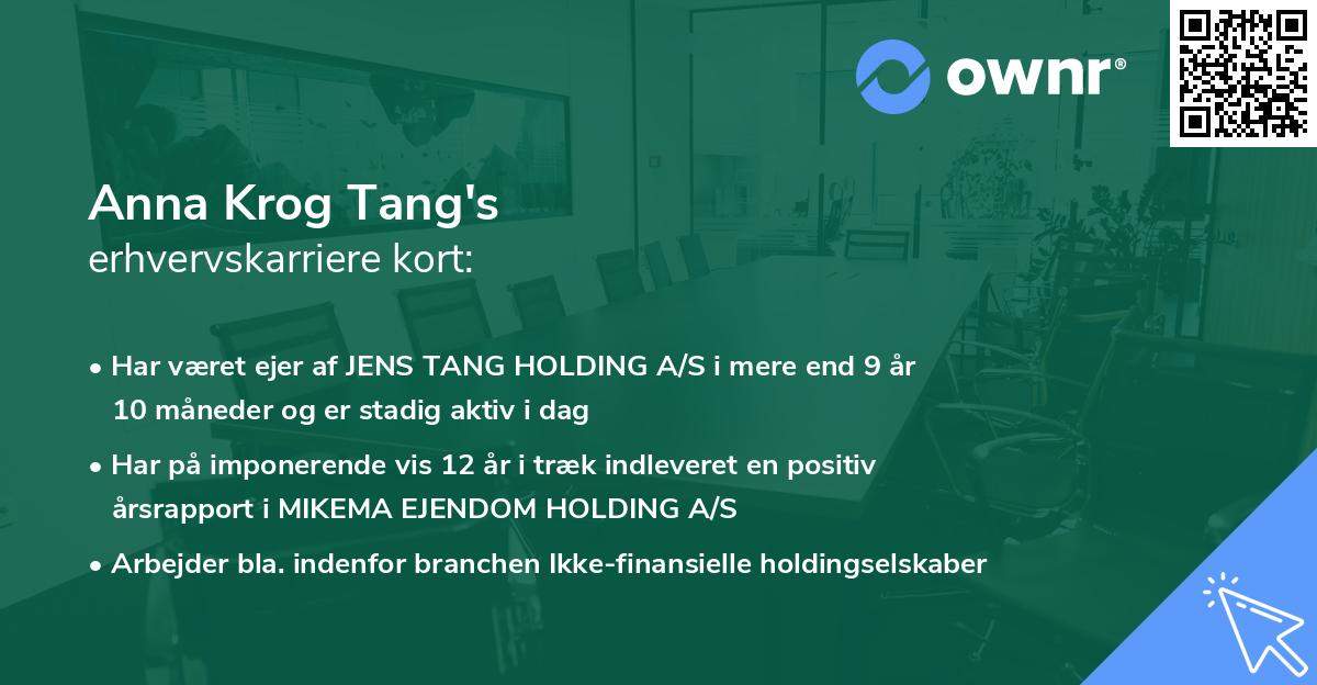 Anna Krog Tang's erhvervskarriere kort