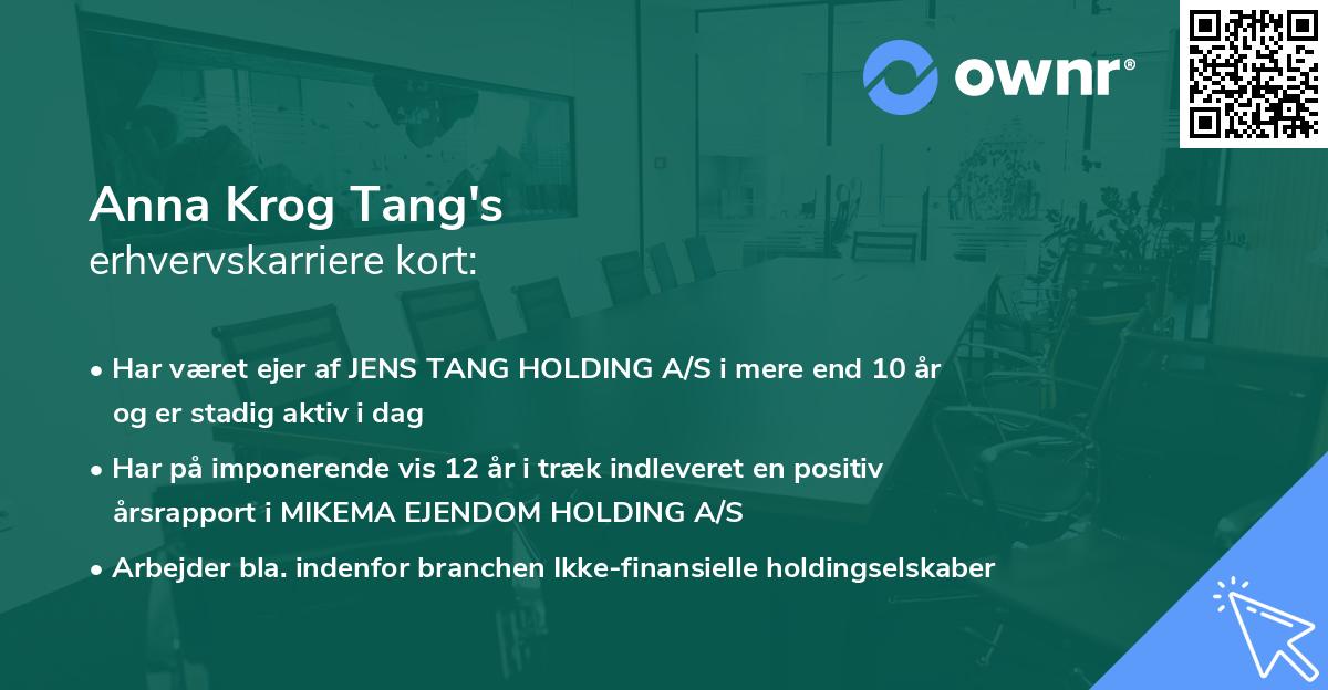Anna Krog Tang's erhvervskarriere kort