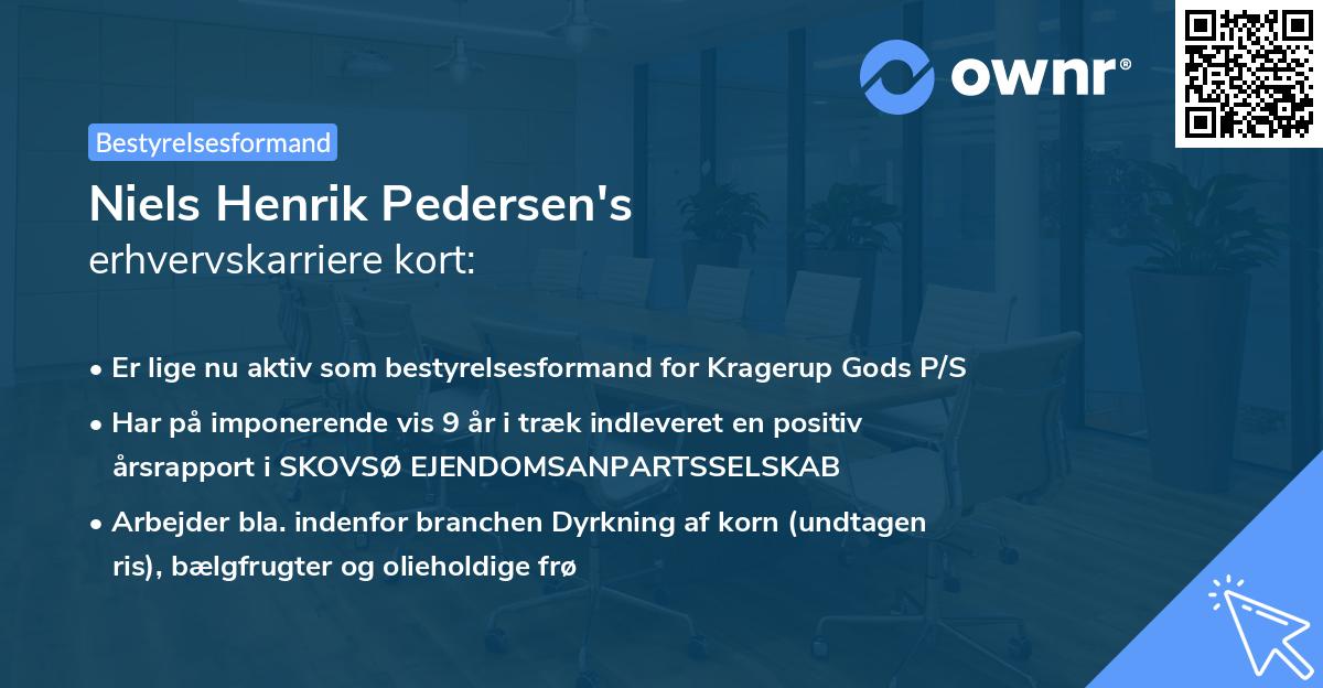 Niels Henrik Pedersen's erhvervskarriere kort