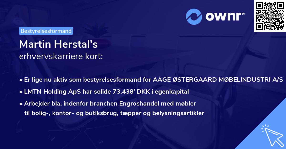 Martin Herstal's erhvervskarriere kort