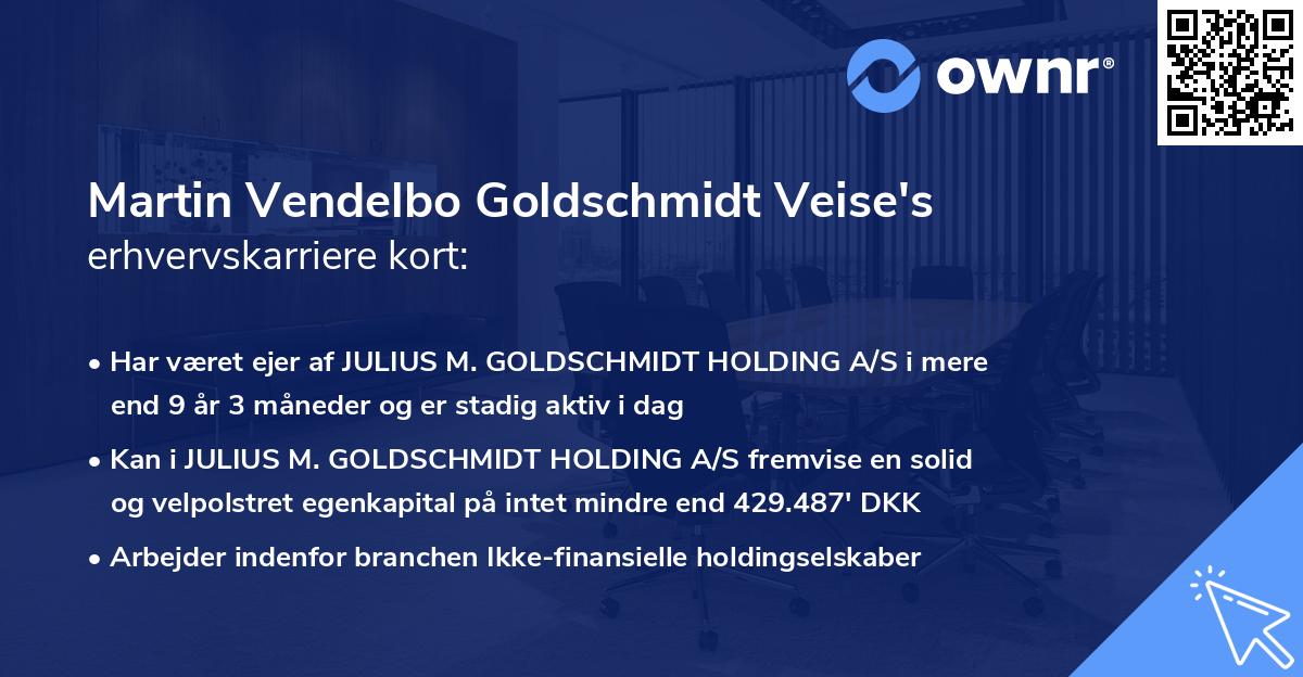 Martin Vendelbo Goldschmidt Veise's erhvervskarriere kort