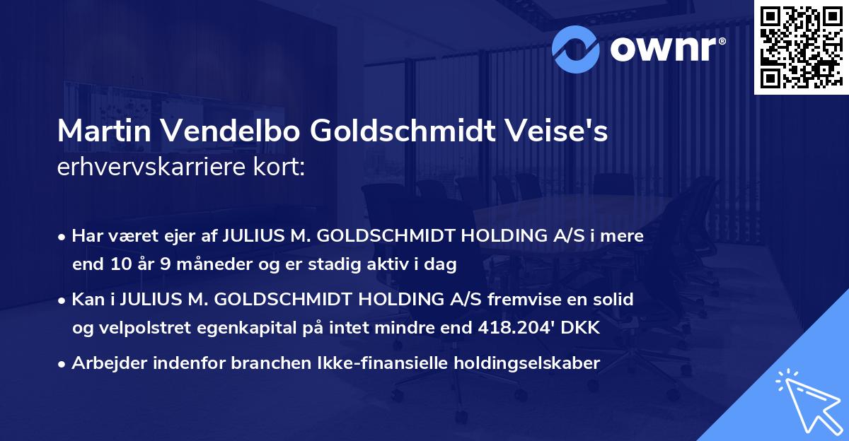 Martin Vendelbo Goldschmidt Veise's erhvervskarriere kort