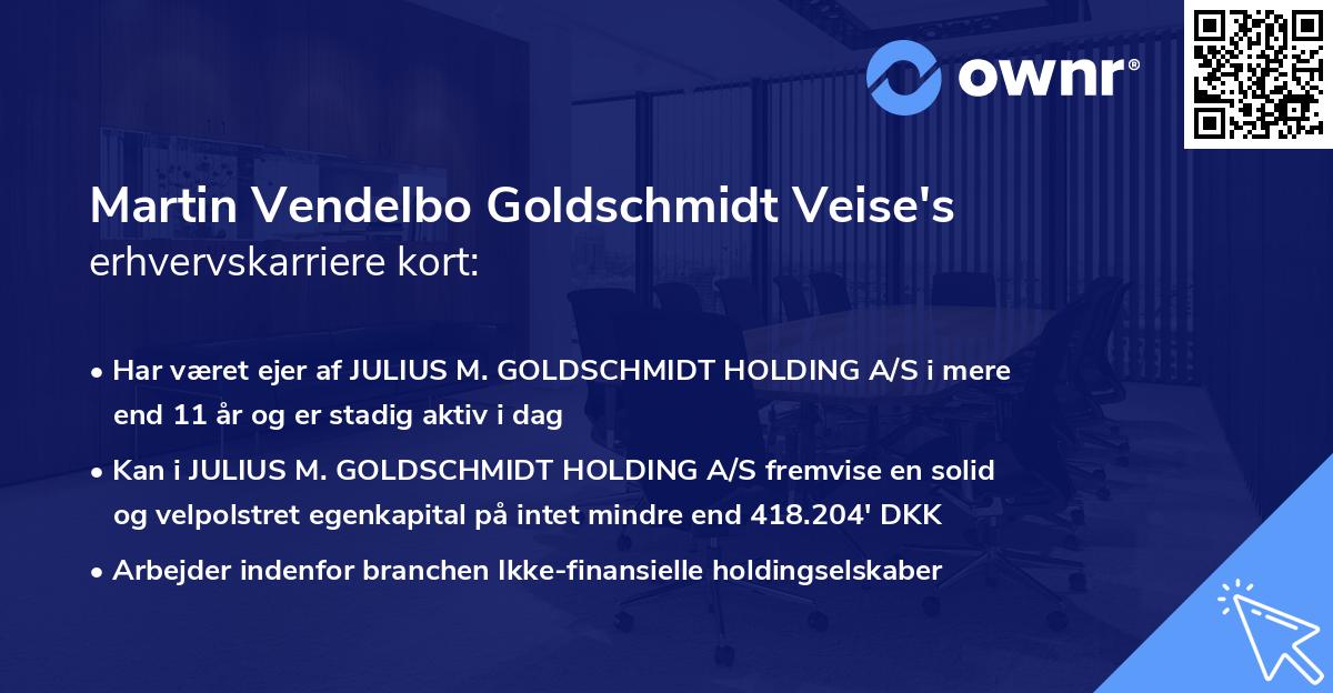 Martin Vendelbo Goldschmidt Veise's erhvervskarriere kort