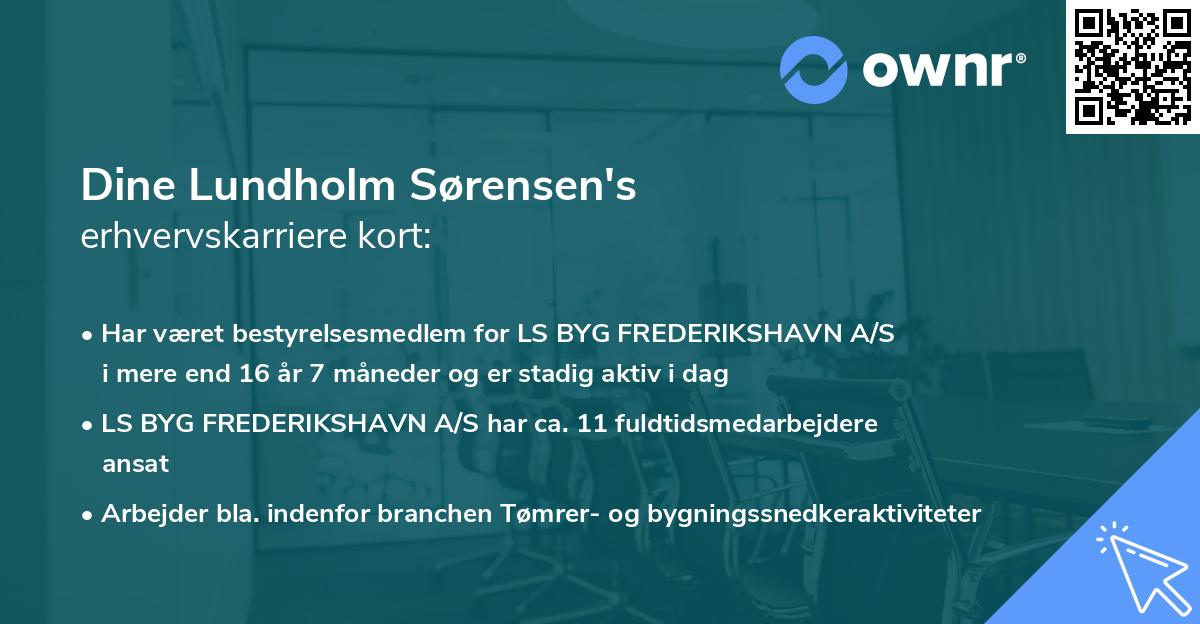 Dine Lundholm Sørensen's erhvervskarriere kort