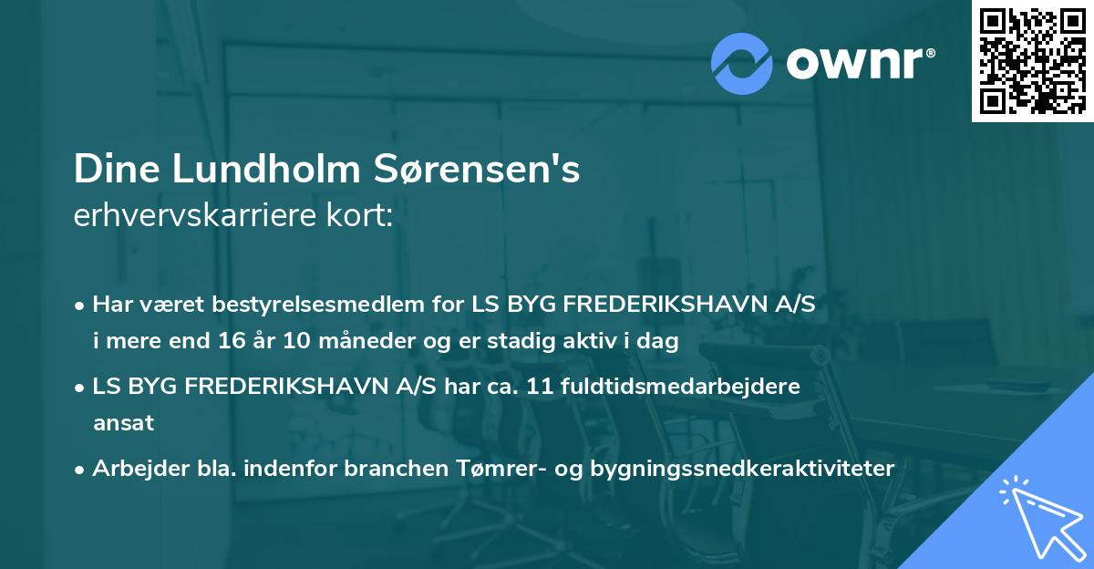 Dine Lundholm Sørensen's erhvervskarriere kort