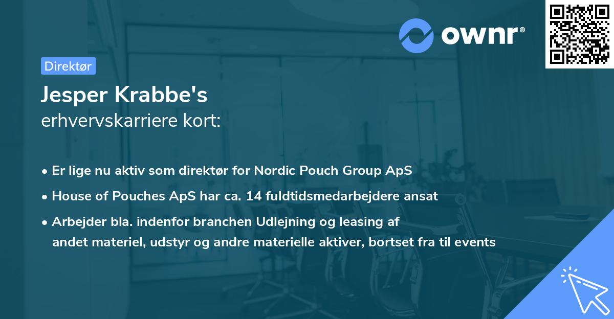 Jesper Krabbe's erhvervskarriere kort