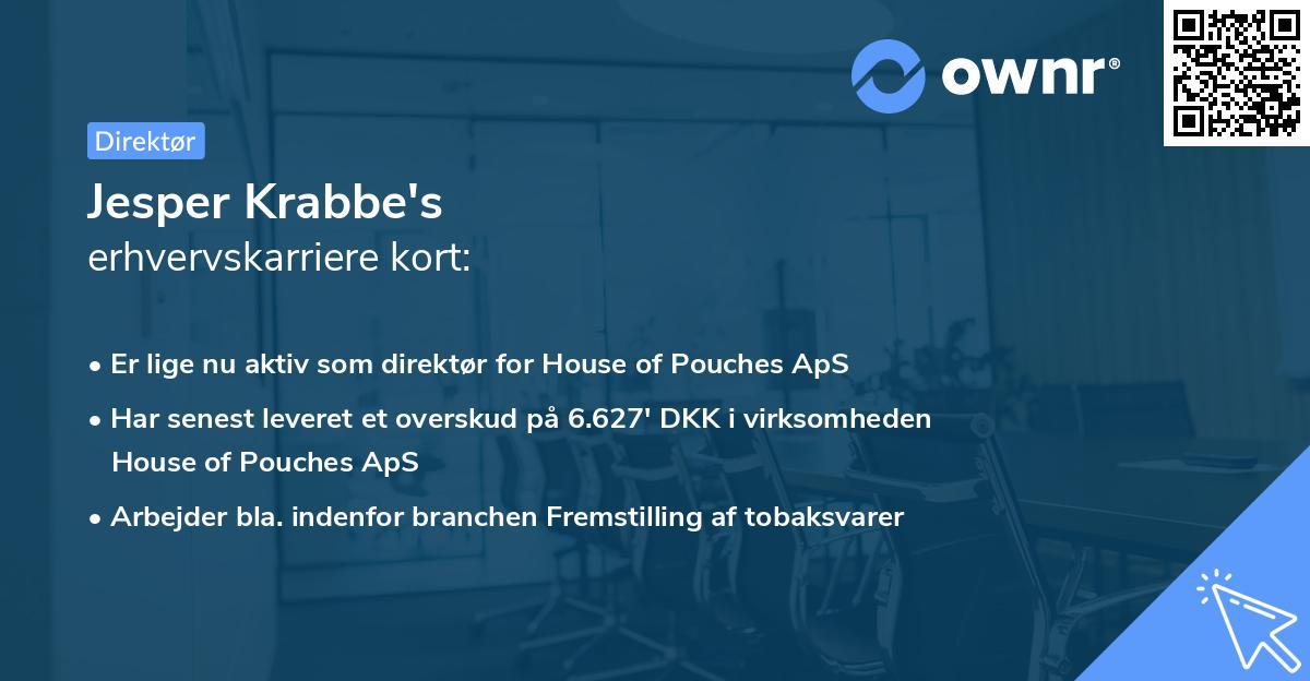 Jesper Krabbe's erhvervskarriere kort