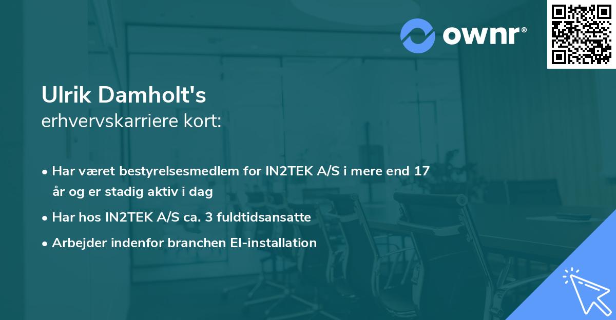 Ulrik Damholt's erhvervskarriere kort