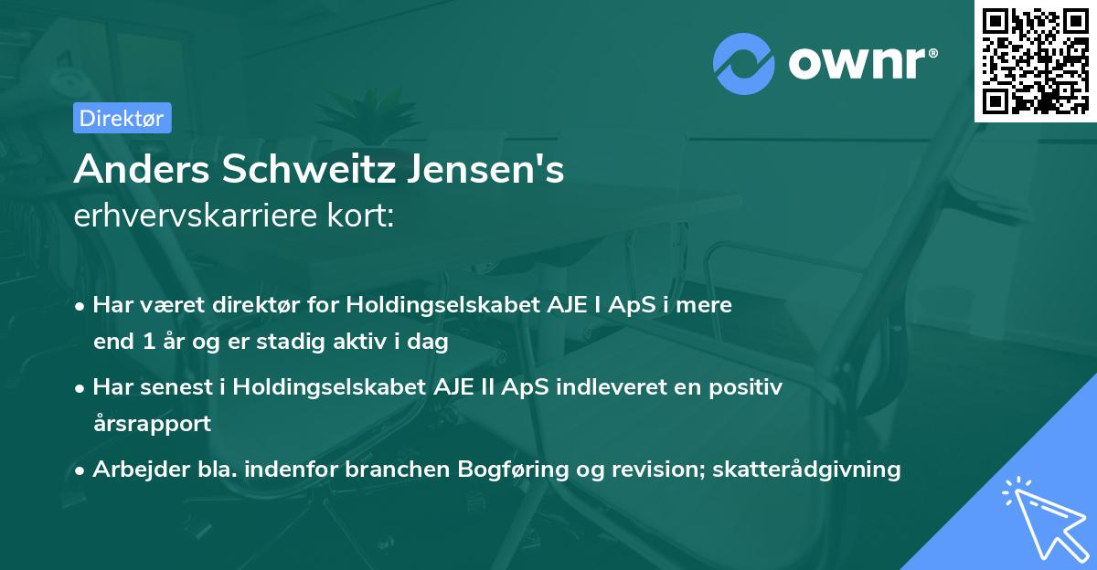Anders Schweitz Jensen's erhvervskarriere kort