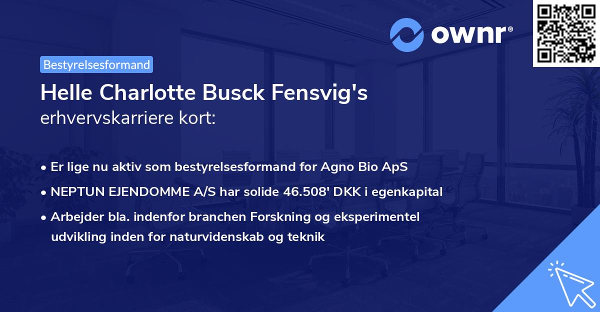 Helle Charlotte Busck Fensvig's erhvervskarriere kort