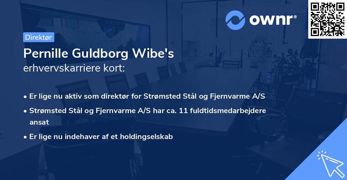 Pernille Guldborg Wibe's erhvervskarriere kort
