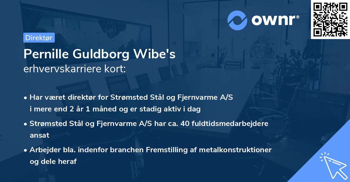 Pernille Guldborg Wibe's erhvervskarriere kort