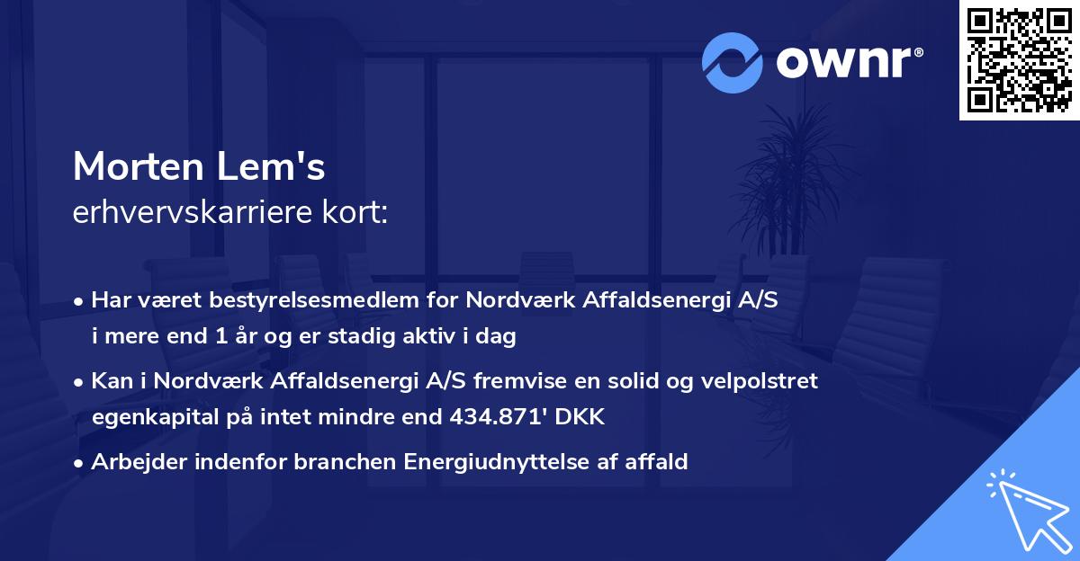 Morten Lem's erhvervskarriere kort